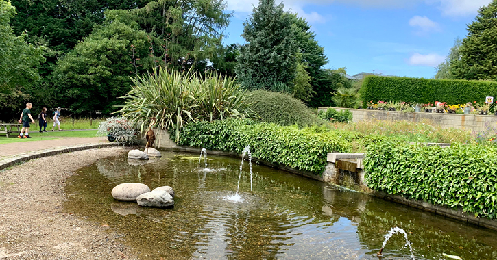 group of people walking past pond in the grounds of Durham University Botanic Garden